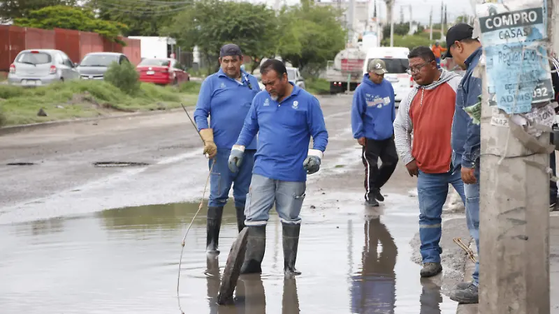 Aguas negras 7